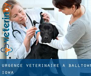 Urgence vétérinaire à Balltown (Iowa)