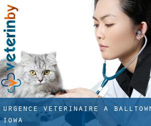 Urgence vétérinaire à Balltown (Iowa)