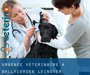 Urgence vétérinaire à Ballycorden (Leinster)
