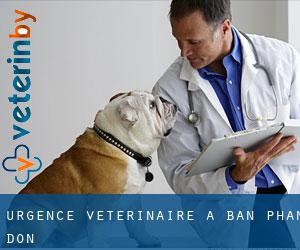 Urgence vétérinaire à Ban Phan Don