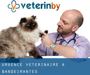 Urgence vétérinaire à Bandeirantes