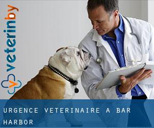 Urgence vétérinaire à Bar Harbor