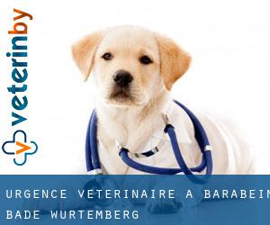 Urgence vétérinaire à Barabein (Bade-Wurtemberg)