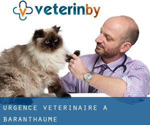 Urgence vétérinaire à Baranthaume