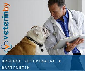 Urgence vétérinaire à Bartenheim
