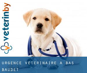 Urgence vétérinaire à Bas Baudet