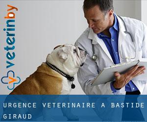 Urgence vétérinaire à Bastide Giraud