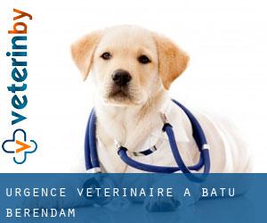 Urgence vétérinaire à Batu Berendam