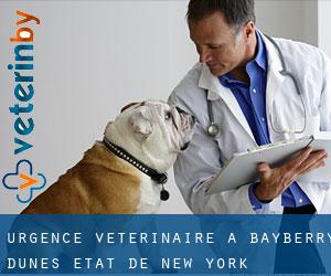 Urgence vétérinaire à Bayberry Dunes (État de New York)