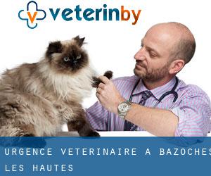 Urgence vétérinaire à Bazoches-les-Hautes
