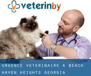 Urgence vétérinaire à Beach Haven Heights (Georgia)