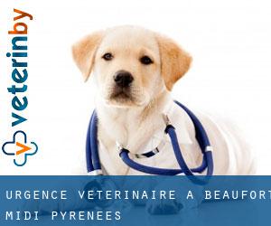Urgence vétérinaire à Beaufort (Midi-Pyrénées)