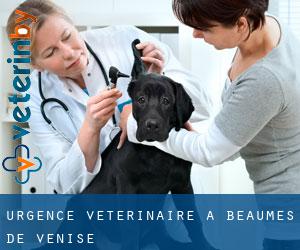 Urgence vétérinaire à Beaumes-de-Venise