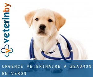 Urgence vétérinaire à Beaumont-en-Véron