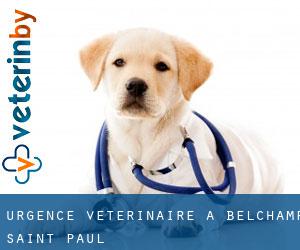 Urgence vétérinaire à Belchamp Saint Paul
