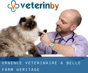 Urgence vétérinaire à Belle Farm Heritage