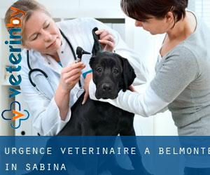 Urgence vétérinaire à Belmonte in Sabina