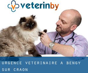 Urgence vétérinaire à Bengy-sur-Craon