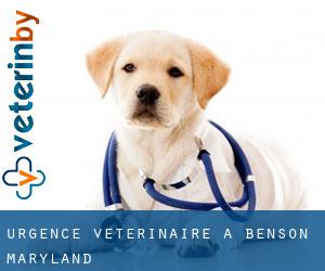 Urgence vétérinaire à Benson (Maryland)