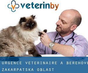 Urgence vétérinaire à Berehove (Zakarpats’ka Oblast’)