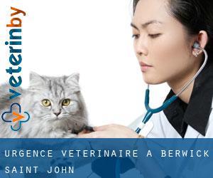 Urgence vétérinaire à Berwick Saint John