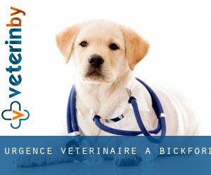 Urgence vétérinaire à Bickford
