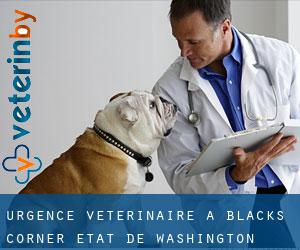 Urgence vétérinaire à Blacks Corner (État de Washington)