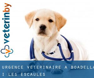 Urgence vétérinaire à Boadella i les Escaules