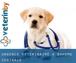Urgence vétérinaire à Bohême-Centrale Urgence vétérinaire à Bohême-Centrale