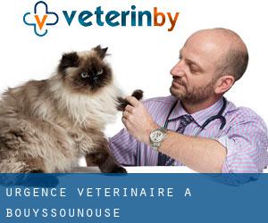 Urgence vétérinaire à Bouyssounouse