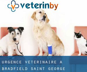 Urgence vétérinaire à Bradfield Saint George
