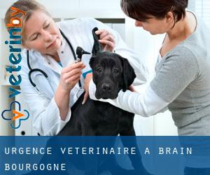 Urgence vétérinaire à Brain (Bourgogne)