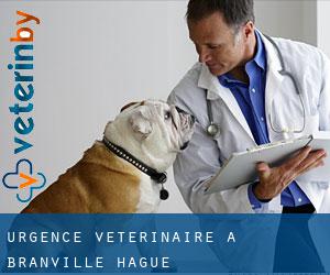Urgence vétérinaire à Branville-Hague
