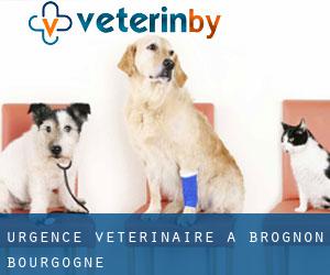 Urgence vétérinaire à Brognon (Bourgogne)