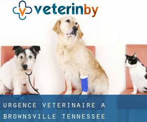 Urgence vétérinaire à Brownsville (Tennessee)