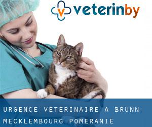 Urgence vétérinaire à Brunn (Mecklembourg-Poméranie)