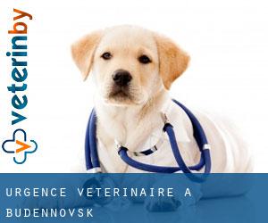 Urgence vétérinaire à Budënnovsk