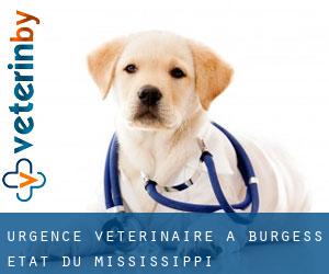Urgence vétérinaire à Burgess (État du Mississippi)