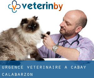 Urgence vétérinaire à Cabay (Calabarzon)
