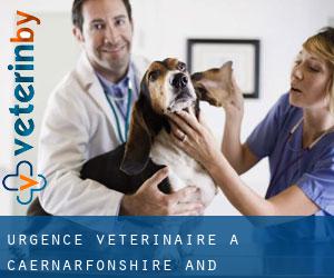 Urgence vétérinaire à Caernarfonshire and Merionethshire