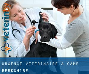 Urgence vétérinaire à Camp Berkshire