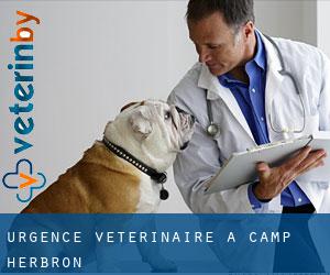 Urgence vétérinaire à Camp Herbron