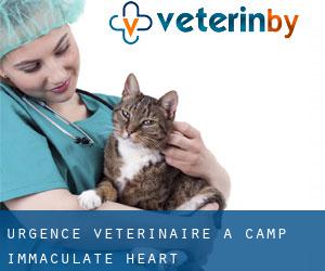 Urgence vétérinaire à Camp Immaculate Heart