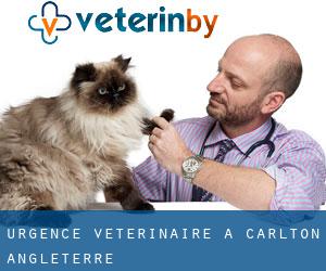 Urgence vétérinaire à Carlton (Angleterre)