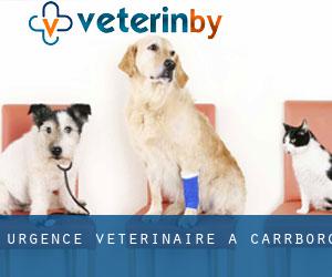 Urgence vétérinaire à Carrboro
