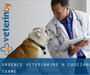 Urgence vétérinaire à Casciana Terme