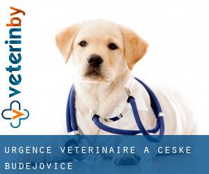 Urgence vétérinaire à České Budějovice Urgence vétérinaire à České Budějovice