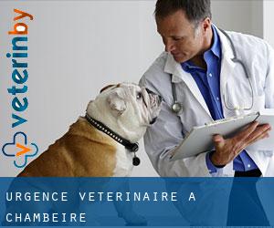 Urgence vétérinaire à Chambeire