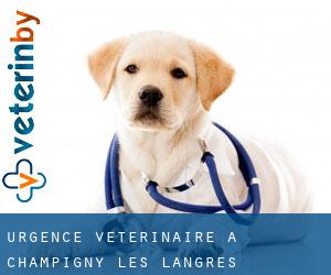 Urgence vétérinaire à Champigny-lès-Langres