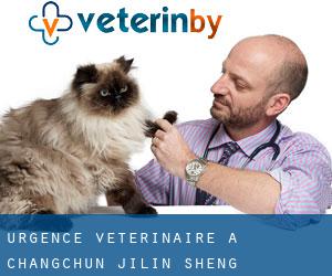 Urgence vétérinaire à Changchun (Jilin Sheng) Urgence vétérinaire à Changchun (Jilin Sheng)